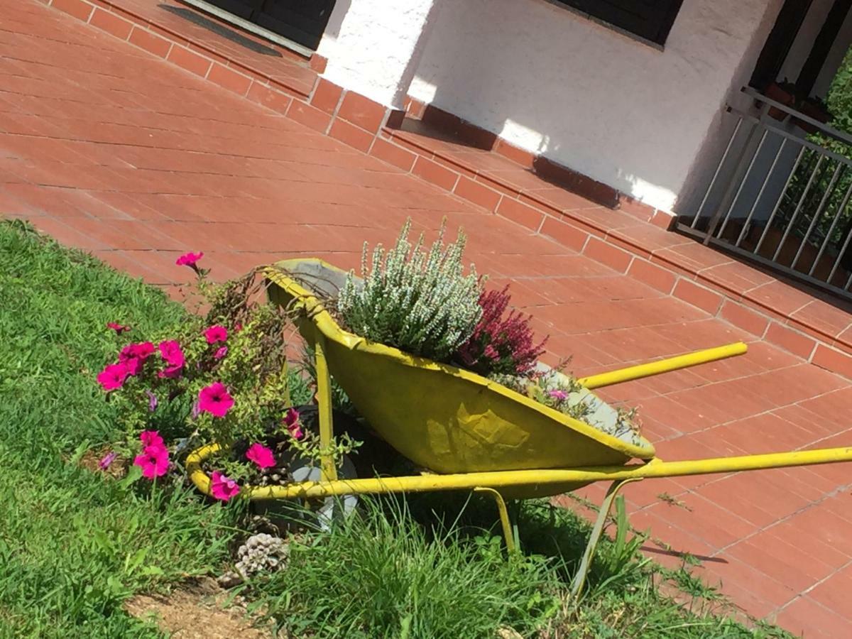 Progetto Vacanze Invorio Inferiore Εξωτερικό φωτογραφία